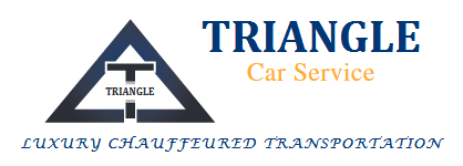 Triangle Car Services logo
